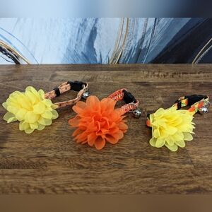 *NWOT* Fall Kitten/Cat Collar Bundle